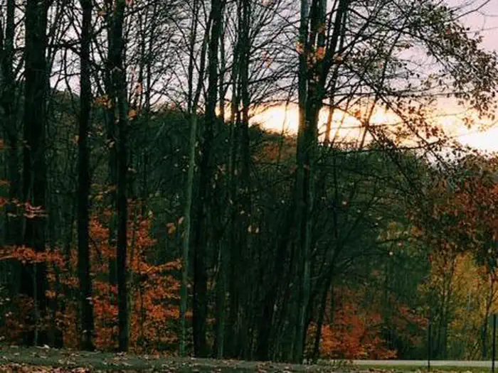 Minister Creek Campground — private, small, forested campground