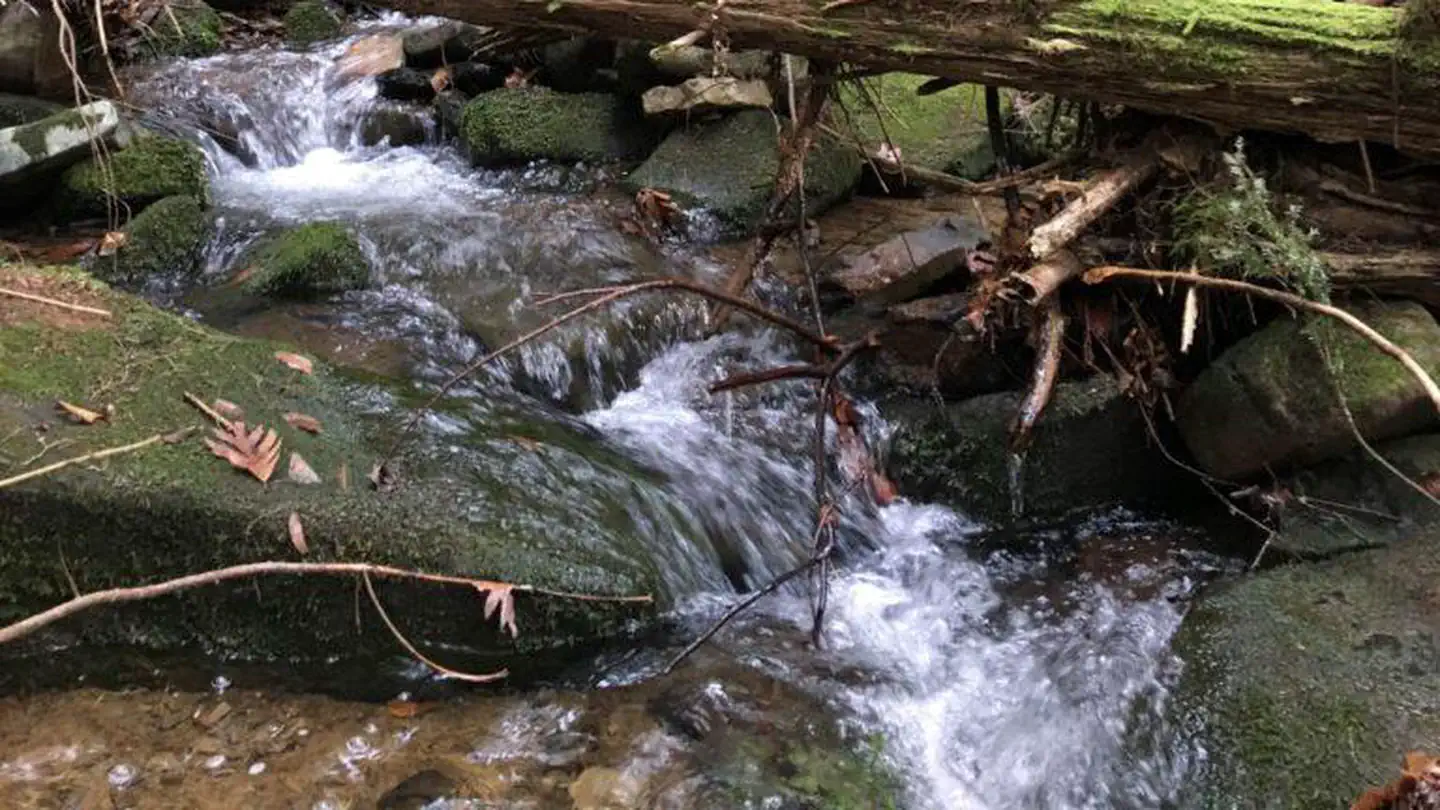 Minister Creek Campground — private, small campground