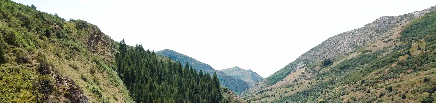 Botts Campground