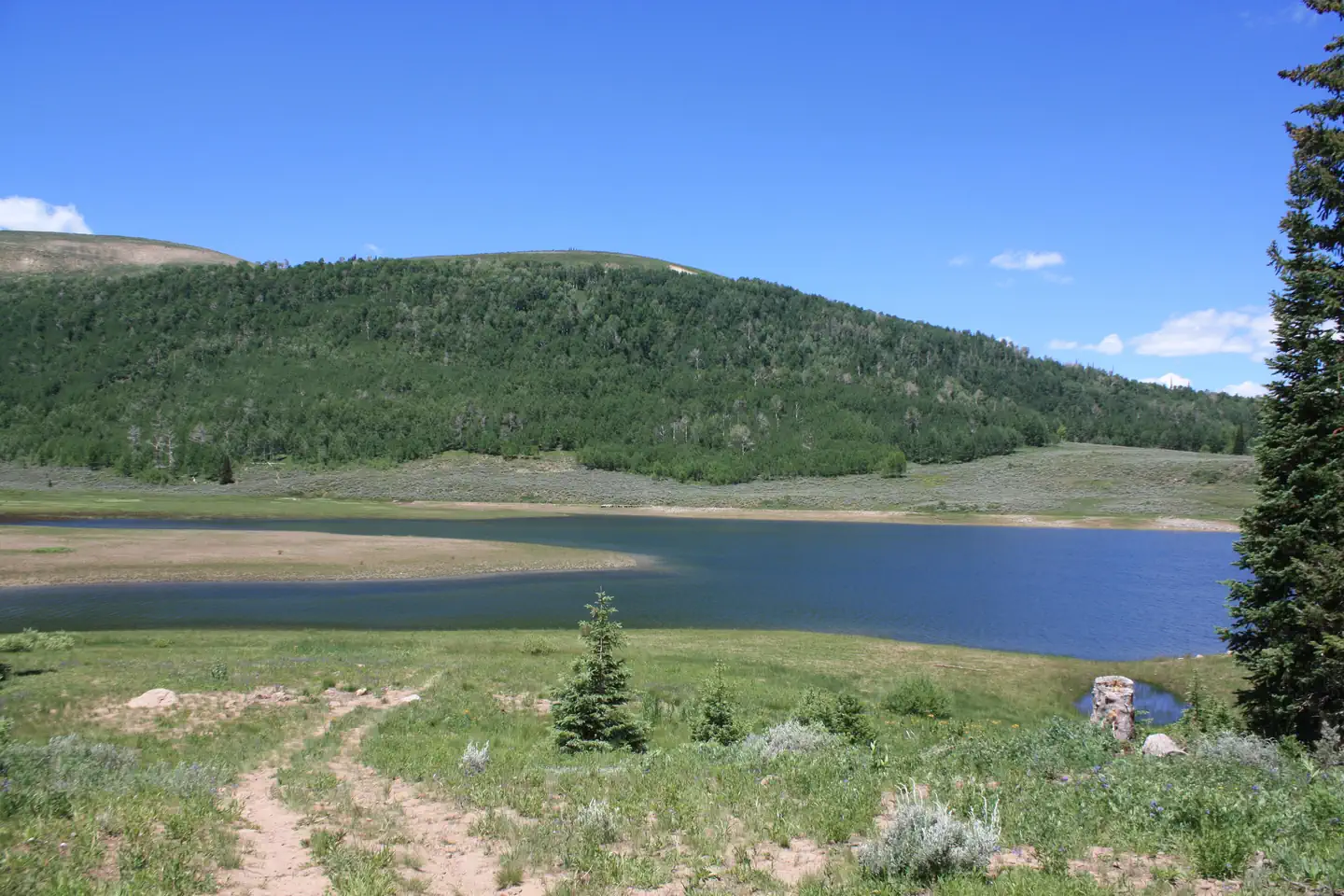 Lake Canyon Recreation Area — Lake Canyon Campground - Cleveland Reservoir