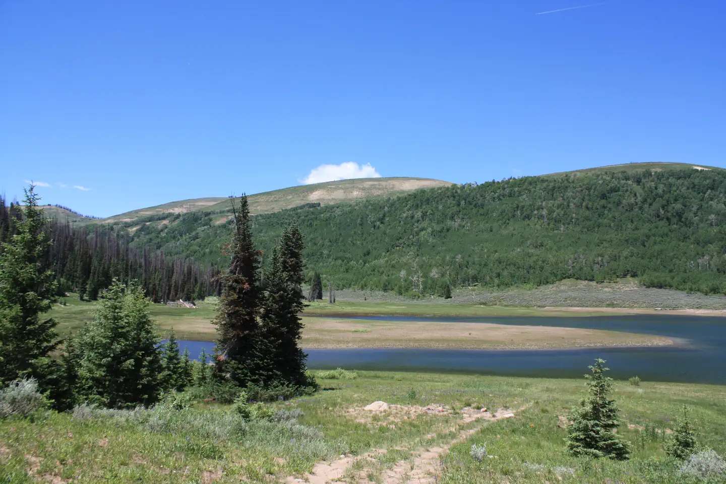 Lake Canyon Recreation Area — Lake Canyon Campground - Cleveland Reservoir