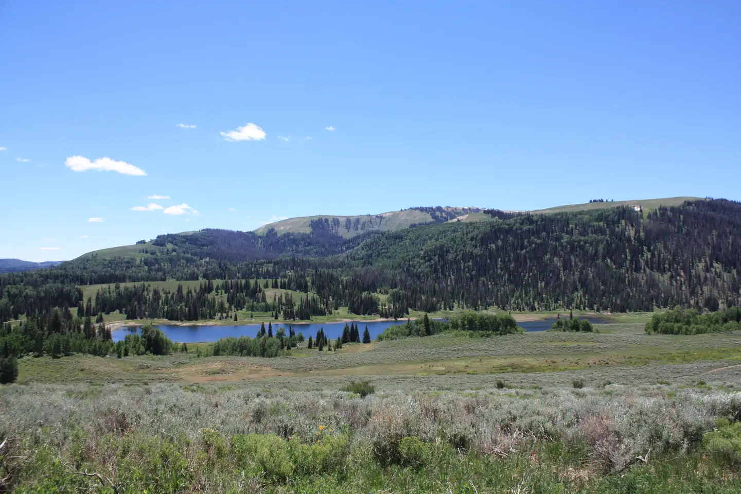 Lake Canyon Recreation Area — Lake Canyon Campground - Cleveland Reservoir