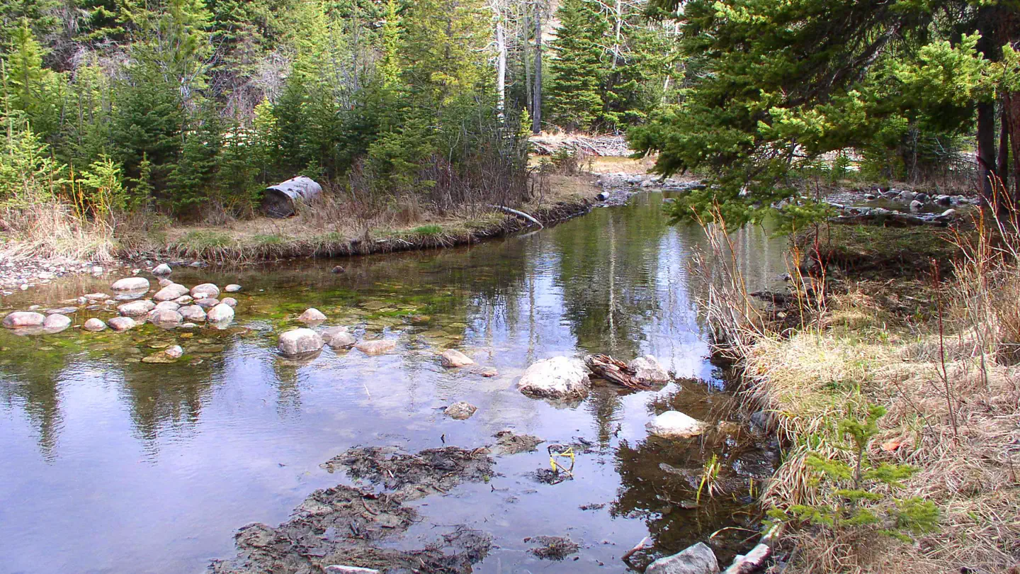 Sheridan Campground