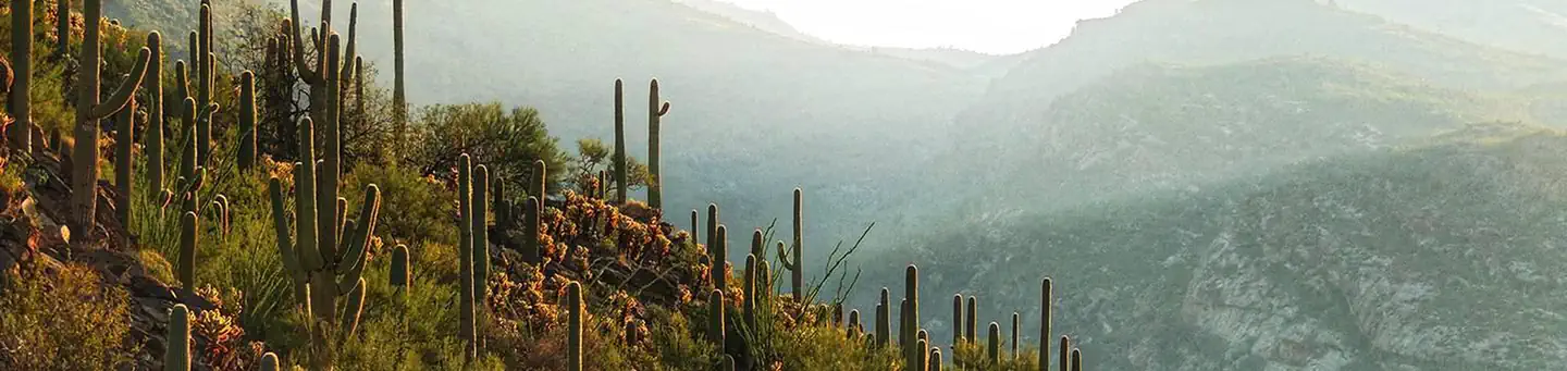 Saguaro National Park Wilderness Permits