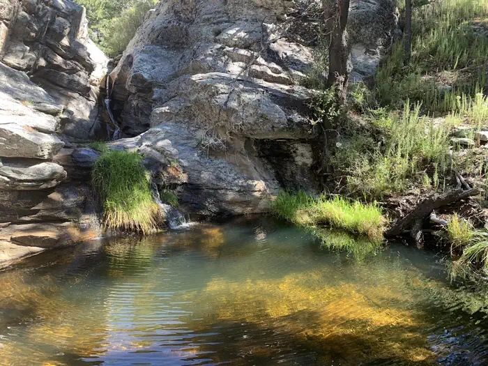 Saguaro National Park Wilderness Permits — A desert oasis tucked away at the top of the mountain range