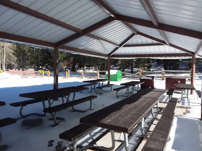 Black Bear Group Campground — Black Bear Group Campground: shaded picnic area