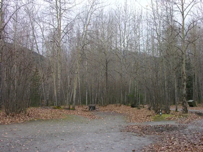 Dyea Campground โ Dyea Campground