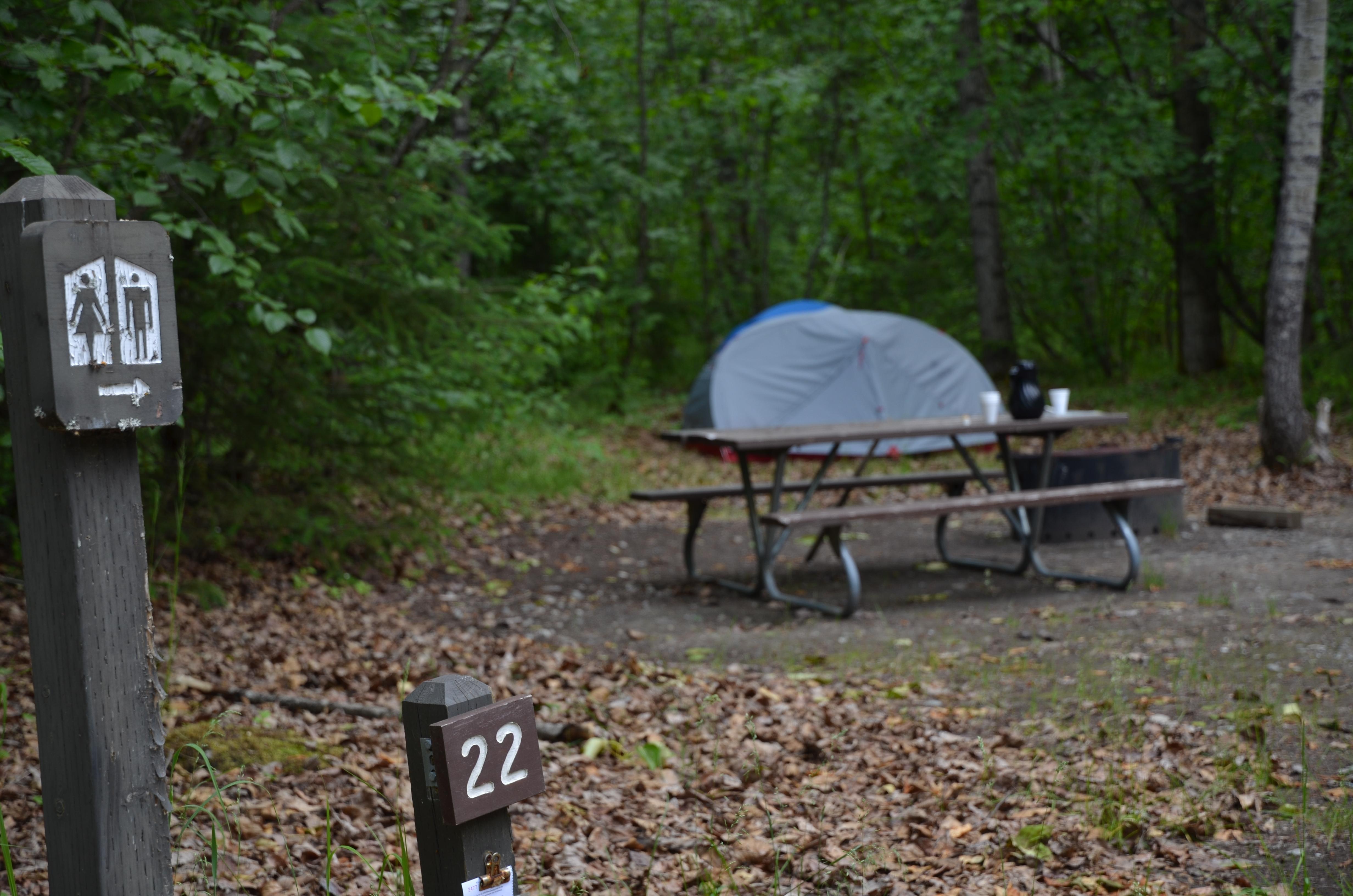 Dyea Campground โ Campsite 22