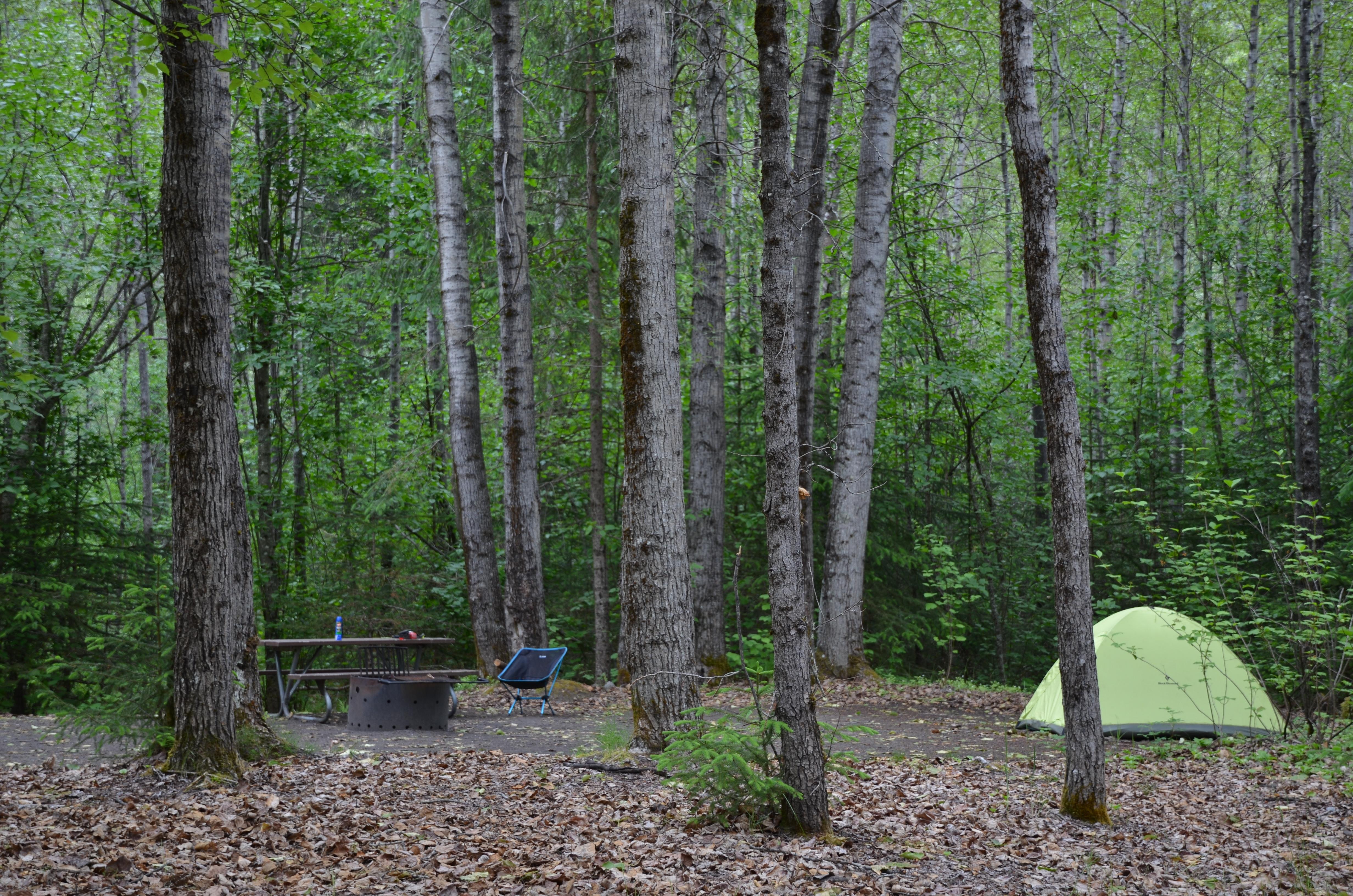 Dyea Campground โ Campsite in the trees
