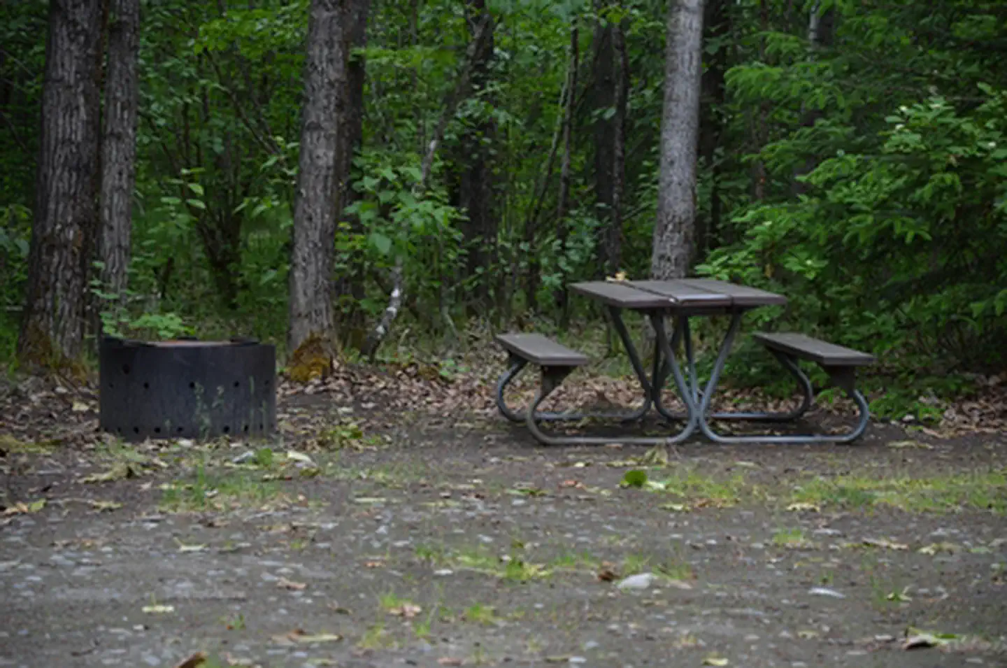 Dyea Campground โ Campsite amenities