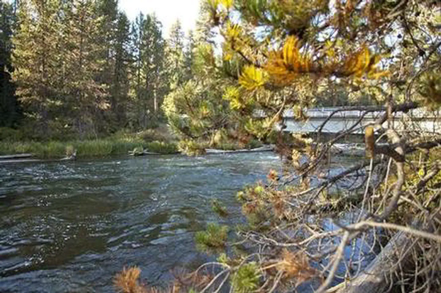 North Davis Creek Campground — NORTH DAVIS CREEK CAMPGROUND