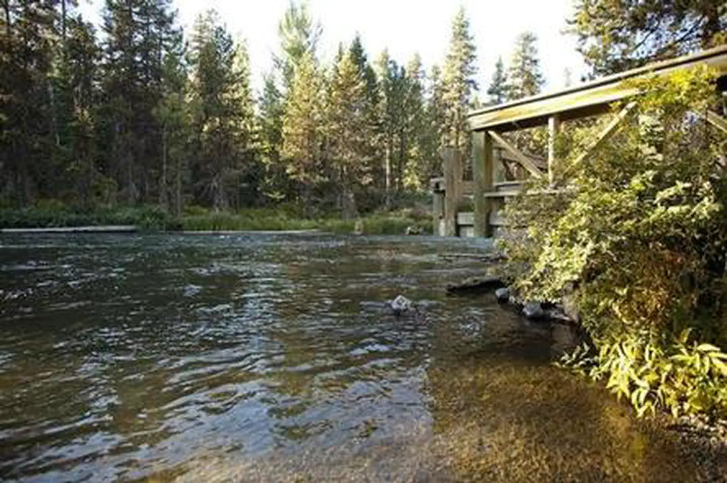 North Davis Creek Campground — NORTH DAVIS CREEK CAMPGROUND