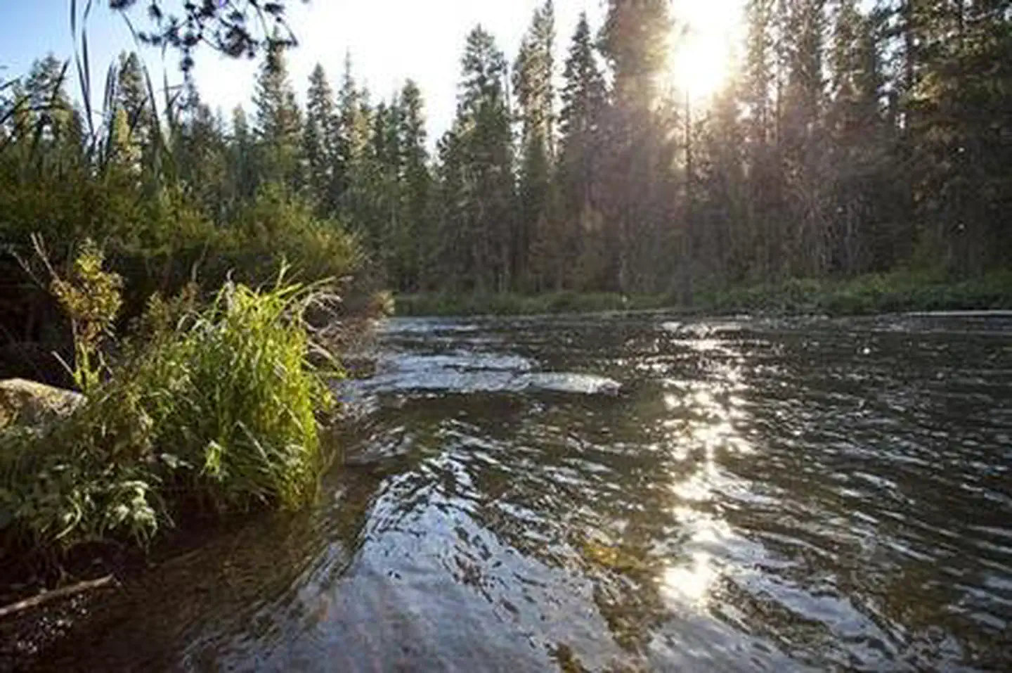 North Davis Creek Campground — NORTH DAVIS CREEK CAMPGROUND