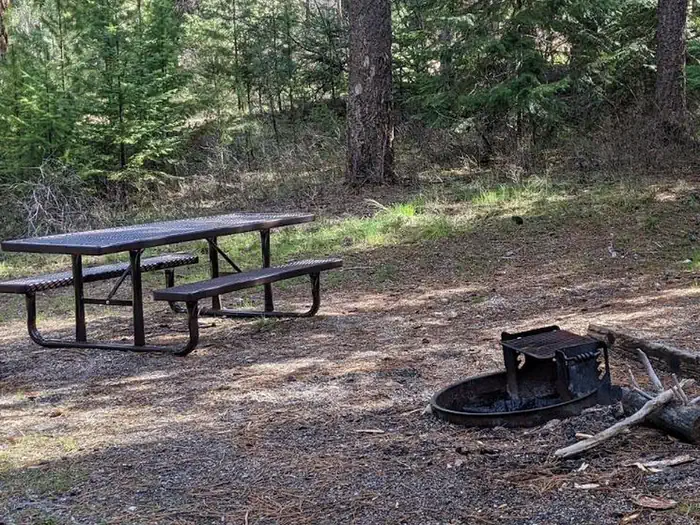 Poverty Flat — Poverty Flat campsite in a forested setting with picnic table and fire pit.