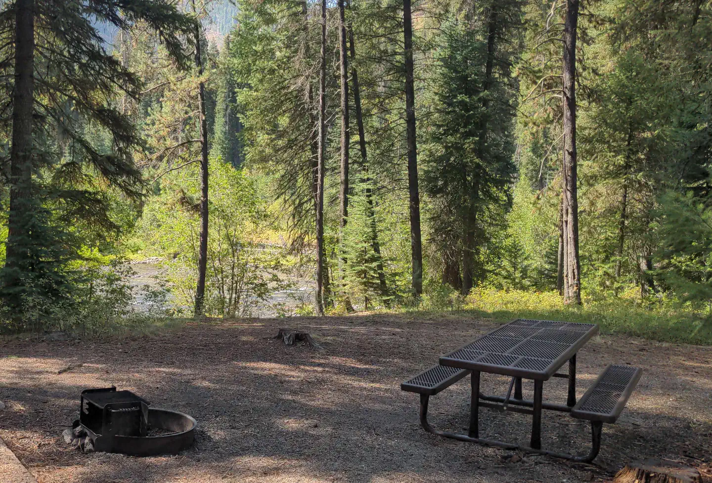 Poverty Flat — Poverty Flat Campsite overlooking the South Fork Salmon River.