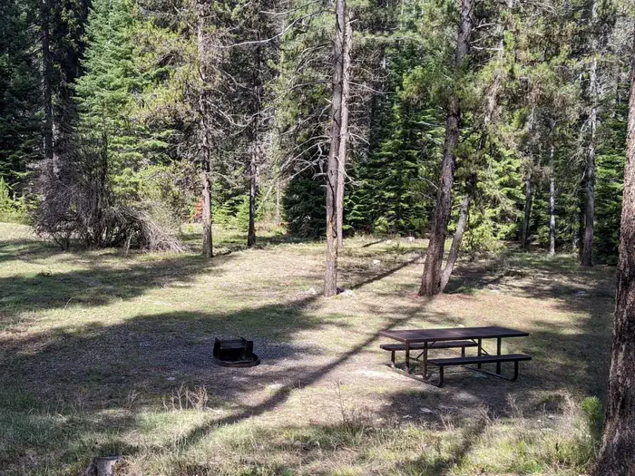 Poverty Flat — Campsite in forest clearing with picnic table and fire ring.