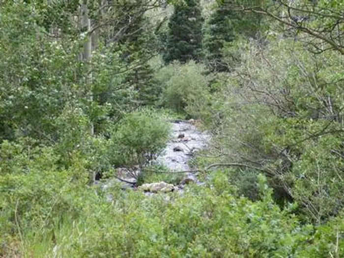 Purgatoire Campground — PURGATOIRE CAMPGROUND