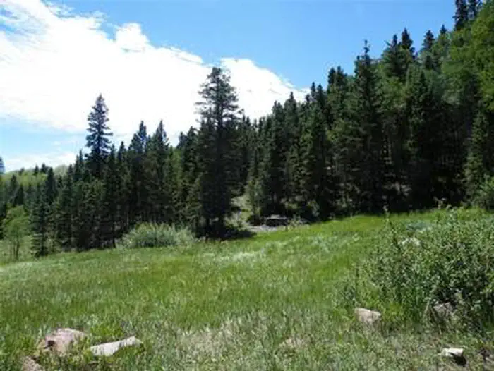 Purgatoire Campground — PURGATOIRE CAMPGROUND