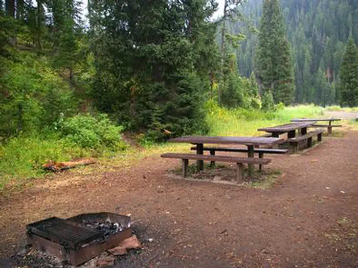 Cottonwood Group Picnic Site — COTTONWOOD GROUP PICNIC SITE