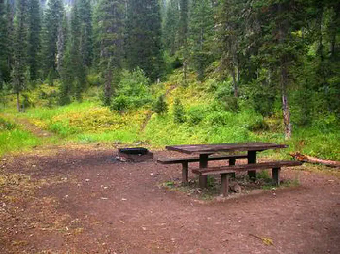 Cottonwood Group Picnic Site — COTTONWOOD GROUP PICNIC SITE