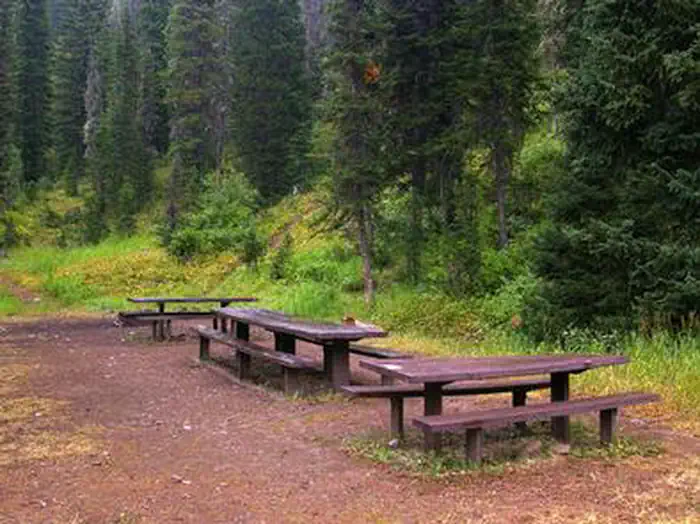 Cottonwood Group Picnic Site — COTTONWOOD GROUP PICNIC SITE