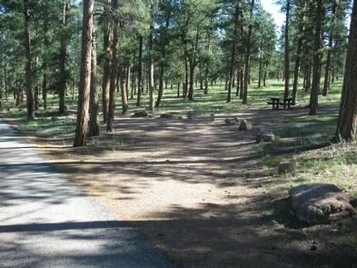 Colorado Campground — COLORADO CAMPGROUND