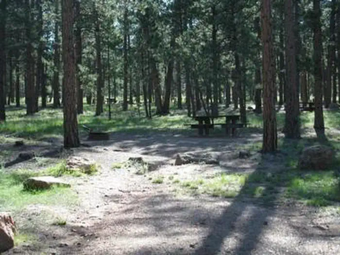Colorado Campground — COLORADO CAMPGROUND