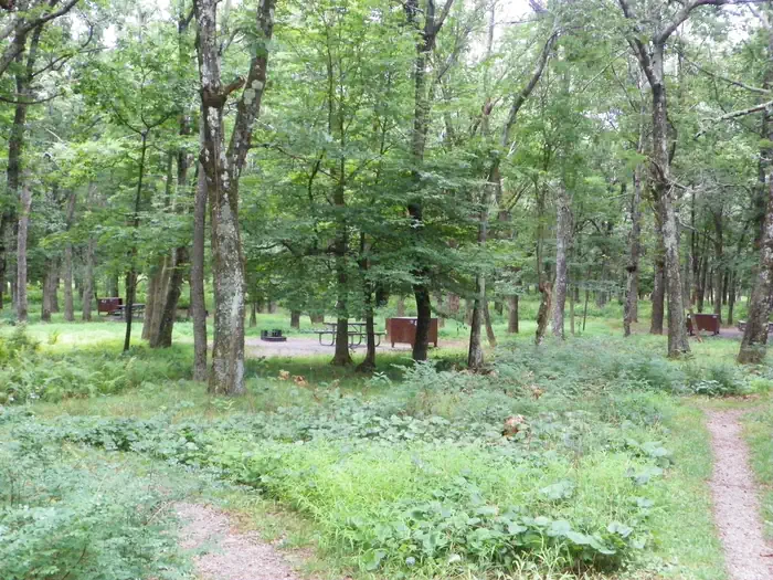 Big Meadows Campground - Shenandoah (va) — Dirt trails pass between green bushes, leading toward food storage boxes and picnic tables of walk to tent campsites in the distance.