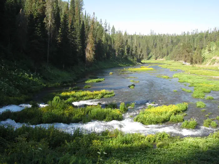 Warm River Cabin — Warm River Springs