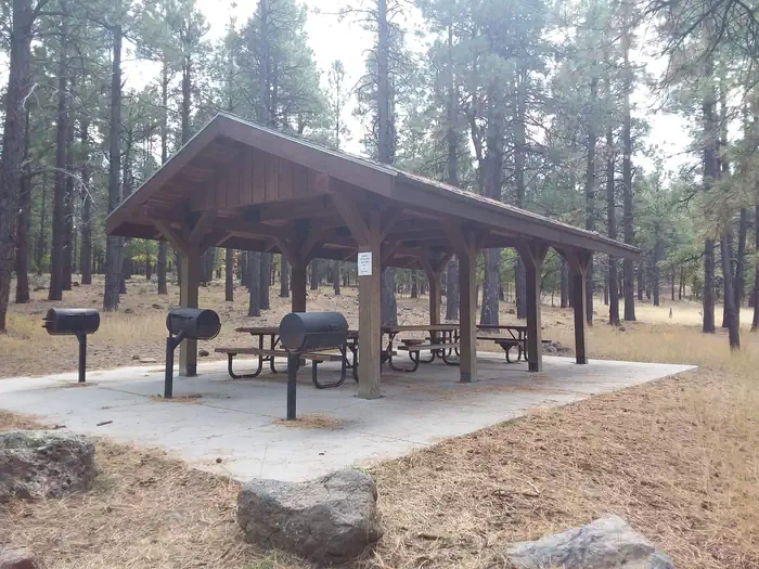 Dogtown Lake Campground And Group — Day use picnic area with grills, tables, and a shade structure