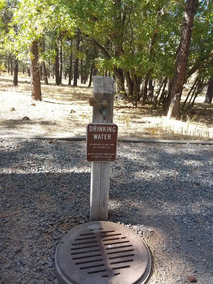 Dogtown Lake Campground And Group — Drinking Water-Spout