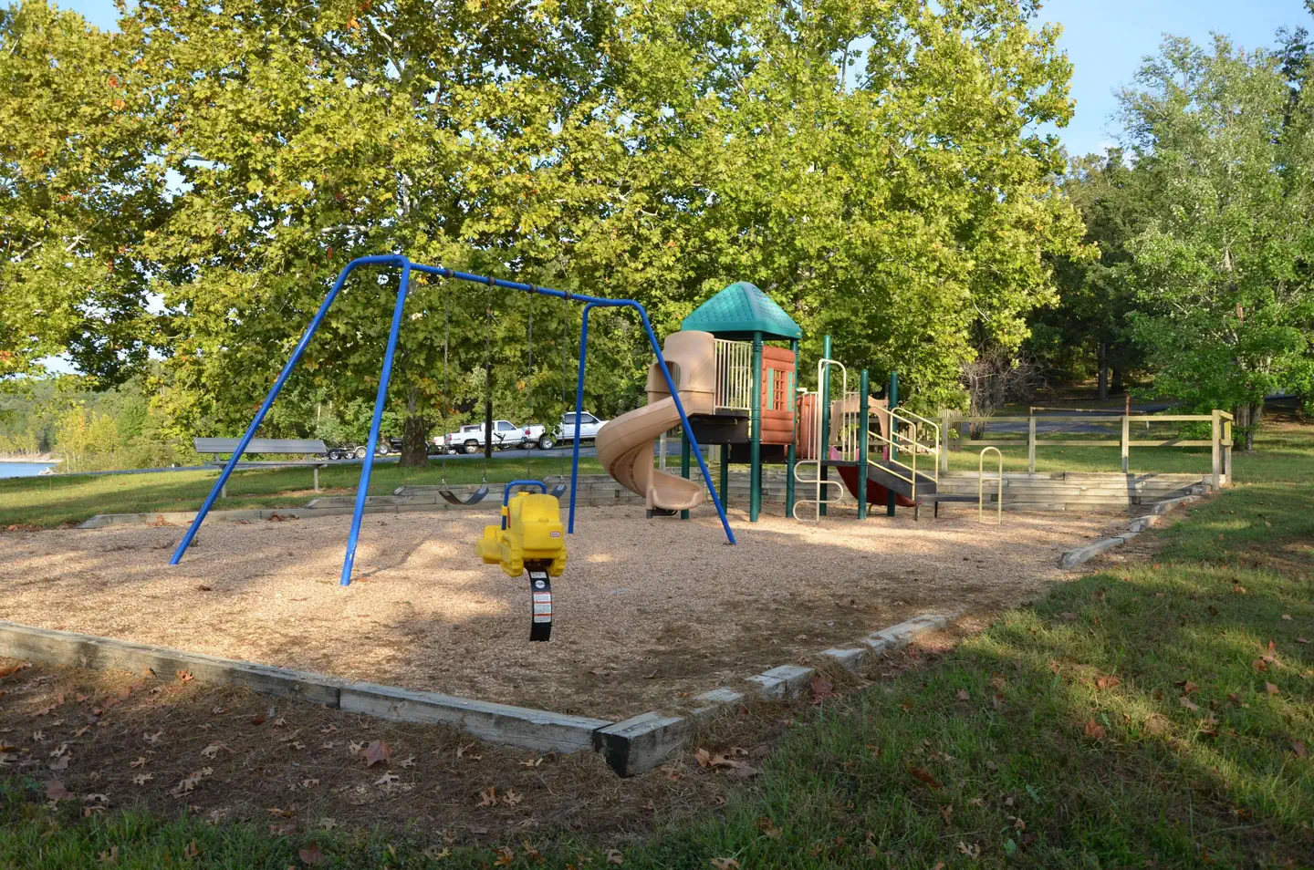 Viola — v