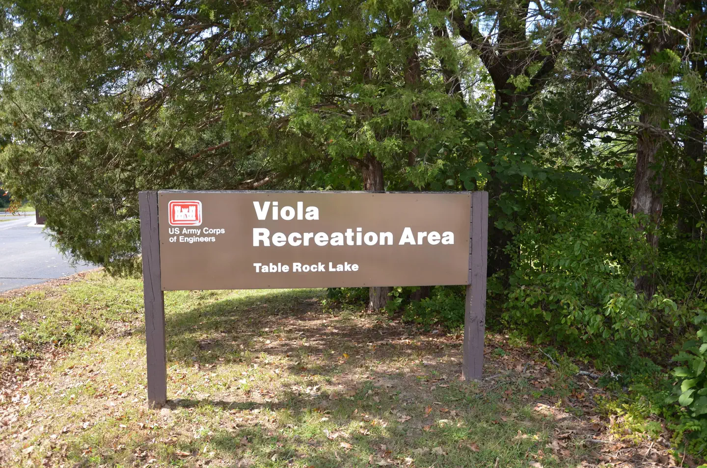 Viola — V