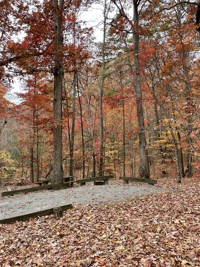 Lake Powhatan Campground — Lake Powhatan in the fall