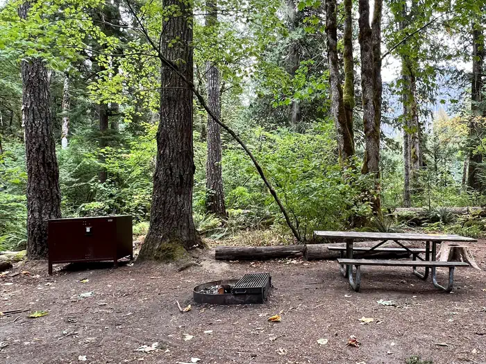Goodell Creek Campground — Picnic table, bear box, and fire grate with trees in the background.