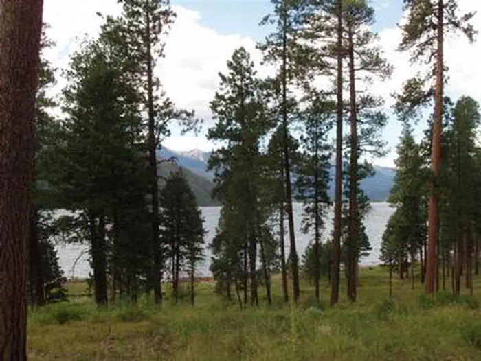 Graham Creek Campground — GRAHAM CREEK CAMPGROUND