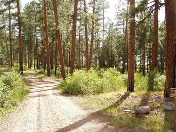 Graham Creek Campground — GRAHAM CREEK CAMPGROUND