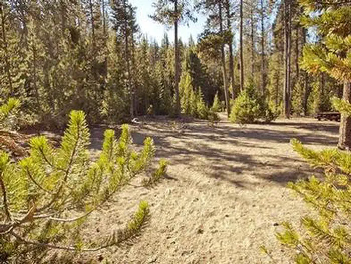 Chief Paulina Horse Camp — Chief Paulina Horse Camp