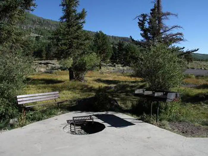 Twin Creeks Picnic — TWIN CREEKS PICNIC