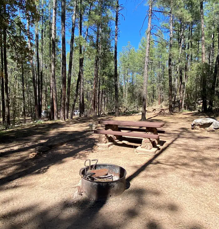 Upper Tonto Creek Campground — Campsite in Upper Tonto Creek Campground