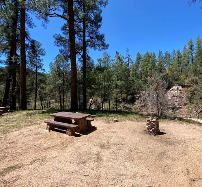 Upper Tonto Creek Campground — Picnic site in Upper Tonto CG