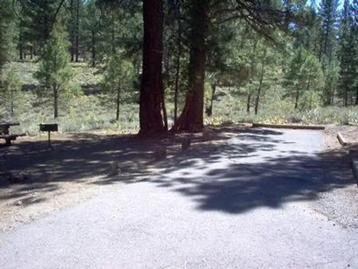 Logger Campground — LOGGER CAMPGROUND