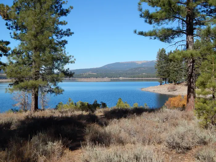 Logger Campground — Logger Campground