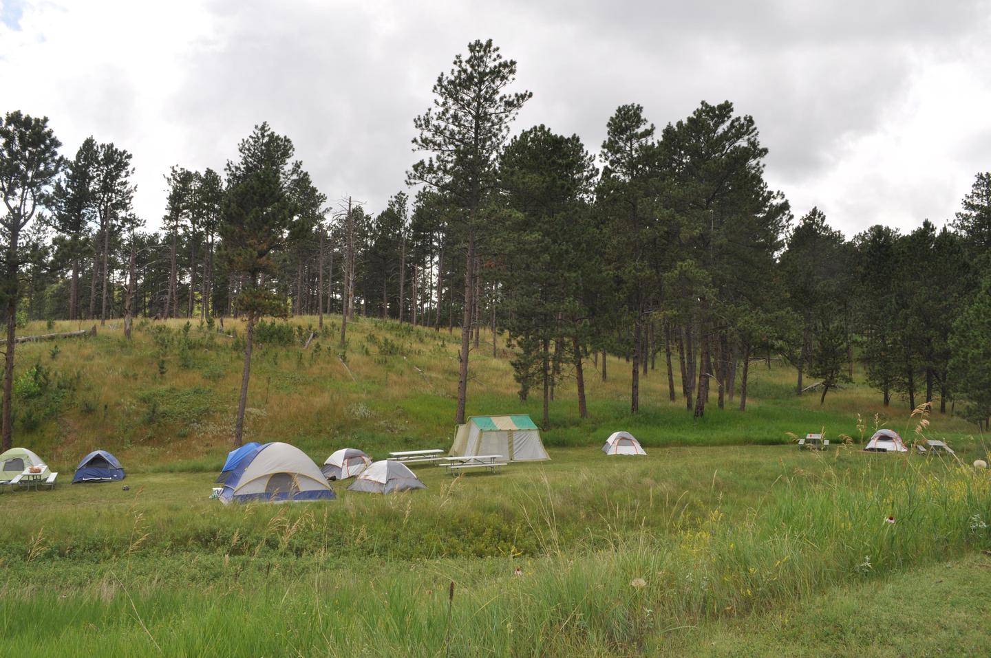 Elk Mountain Campground — Elk Mountain Campground Group Campsite
