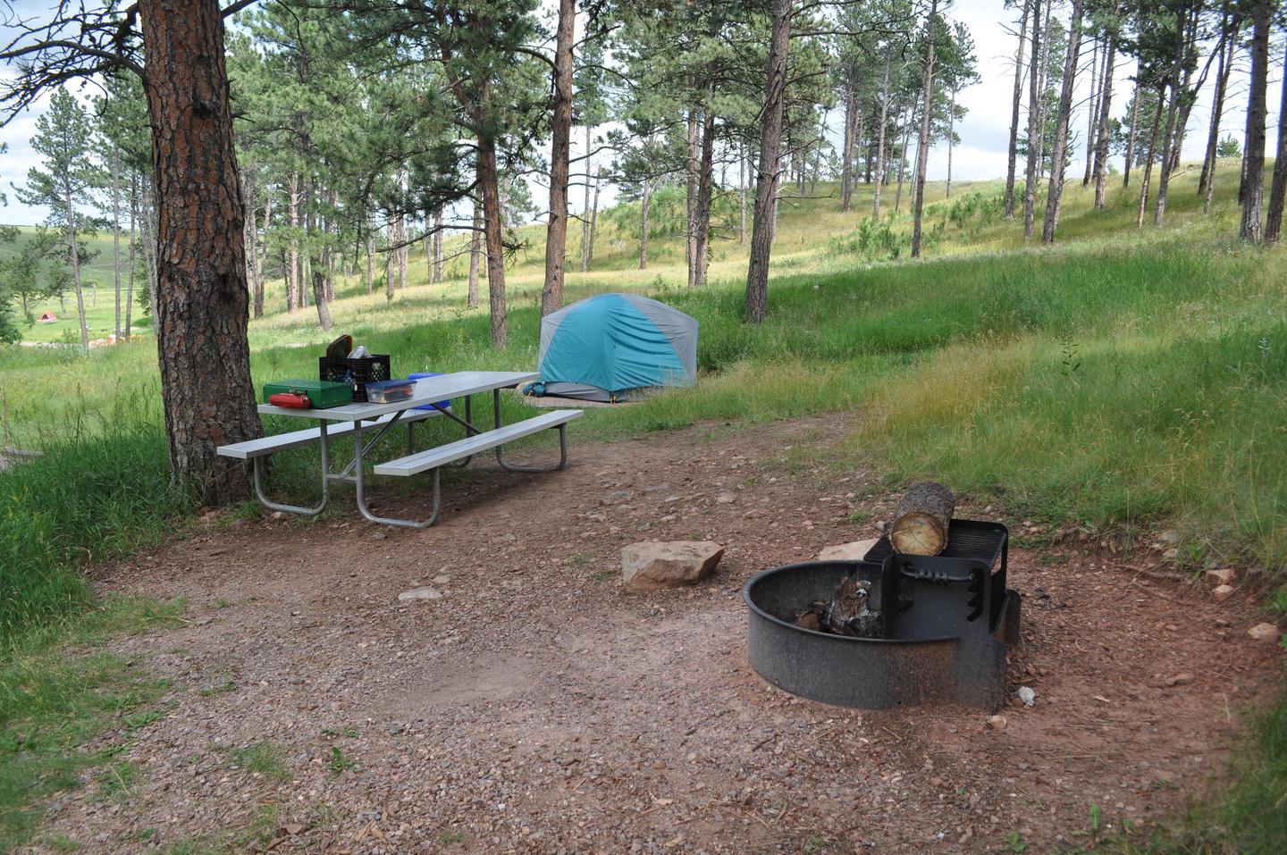 Elk Mountain Campground — Elk Mountain Campsite