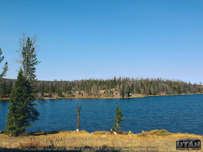 Marsh Lake Campground — Marsh Lake Campground