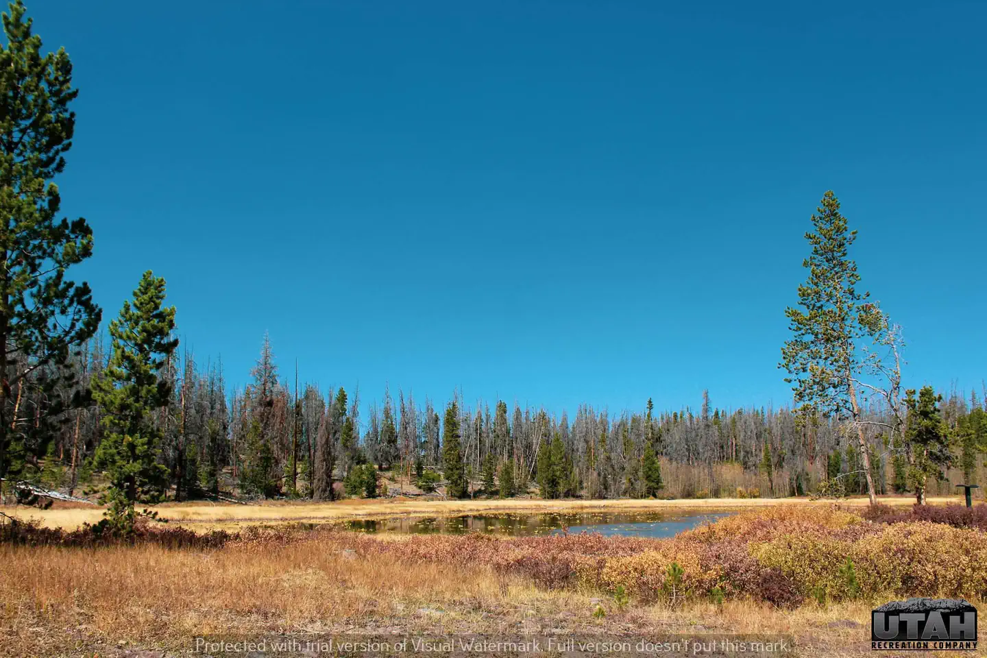 Marsh Lake Campground — Marsh Lake CG