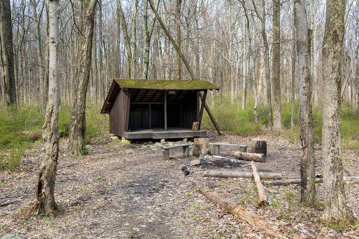 Adirondack Shelters — Three-sided wooden Adirondack shelter, 2 wooden benches and fire circle. Surrounded by trees with no leaves.