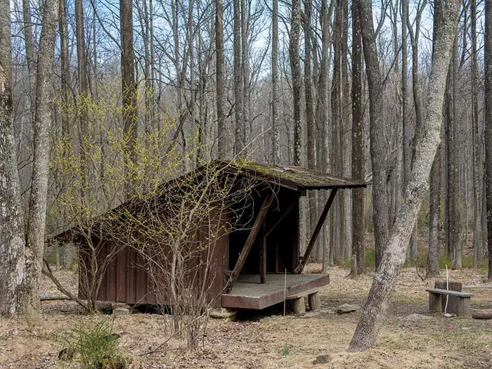Adirondack Shelters — Side view of 3-sided wooden Adirondack shelter surrounded by trees in early spring.