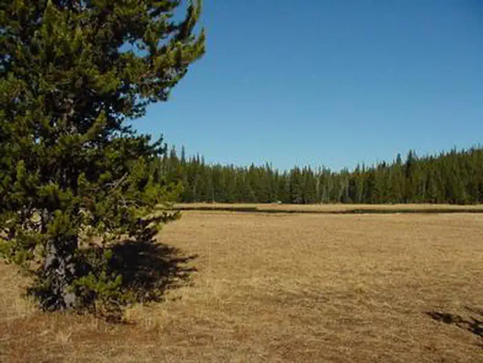 Mud Lake — MUD LAKE CAMPGROUND